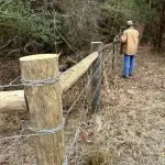 Field fence and pressure treated posts