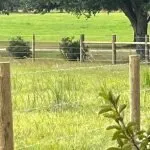 EQIP Barbwire and Farm Fence