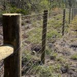 barbwire fence raw land to ranch