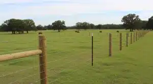 how many strands barbed wire cattle cover - bomann fencing