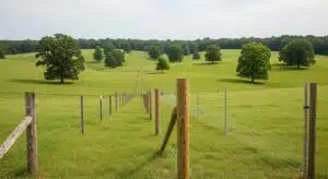 types fencing cattle cover - bomann fencing